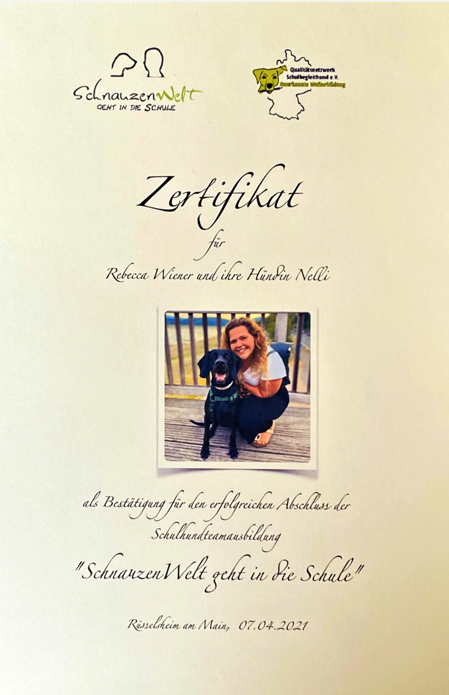 NElli Zertifikat